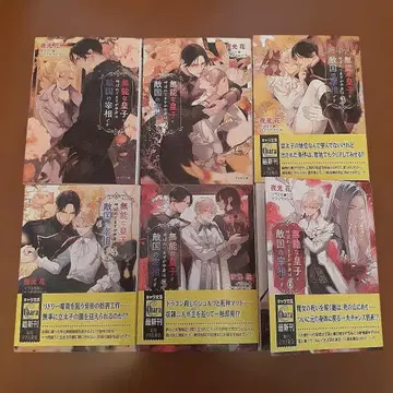 무능한 왕자라 불리지만 사실은 적국의 재상입니다 기한 전 6권