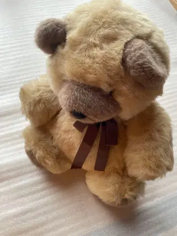 레어 쇼와 베이지 리본 포함 곰 봉제 인형