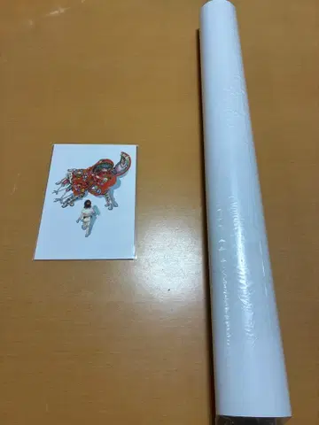 시로 마사무네의 세계전 오토모 가츠히로 공각기동대 포스터 & 엽서 세트