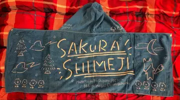 사쿠라 시메지 한여름 별하늘 피크닉 야외 콘서트 타월 판초