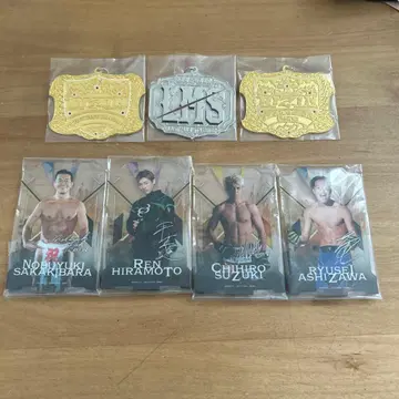 RIZIN 제일복권 아크릴 스탠드, 챔피언 벨트 메탈 참