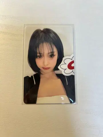 아현 트레이딩 카드