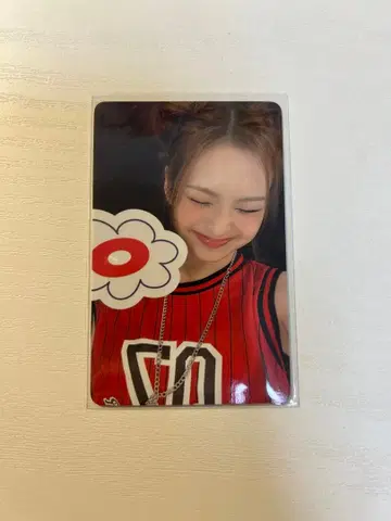 치키타 트레이딩 카드