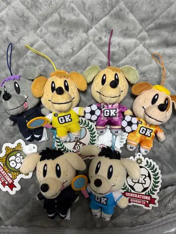 제네견 6개 세트