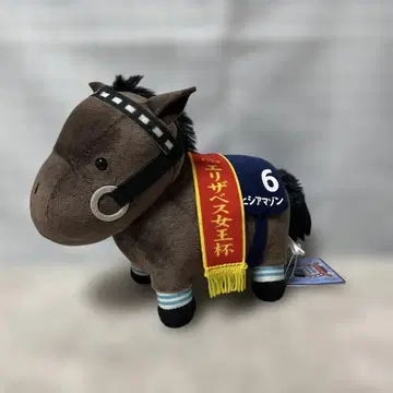 제19회 엘리자베스 여왕배 히시 아마존 6