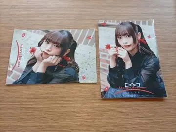 스타라이트 Starry Horizon 입장 혜택 브로마이드 코야마 모모요