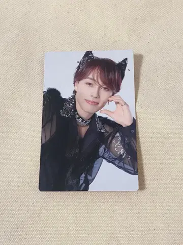 초특급 마사히로 완전 생산 한정판 트레이딩 카드