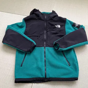 THE NORTH FACE 데날리 후디