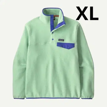레어 컬러 사이즈 XL Patagonia 신틸라 스냅 T 린스드 그린