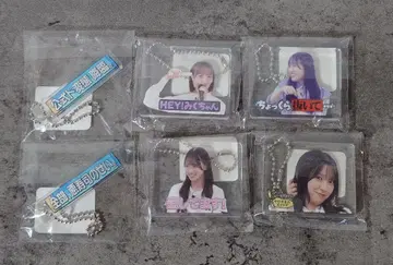 히나타자카에서 만납시다 츳코미 텔롭 & 명장면 키링 묶음 판매