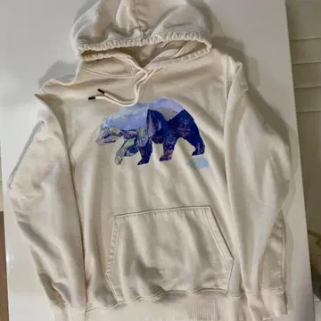 노스페이스 후드티