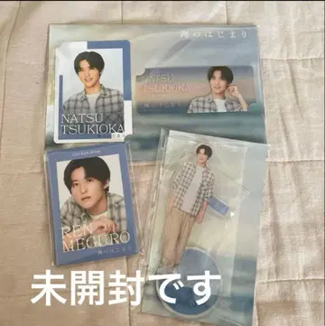 바다의 시작 메구로 렌 아크릴 스탠드 컬렉션 카드 스티커 북