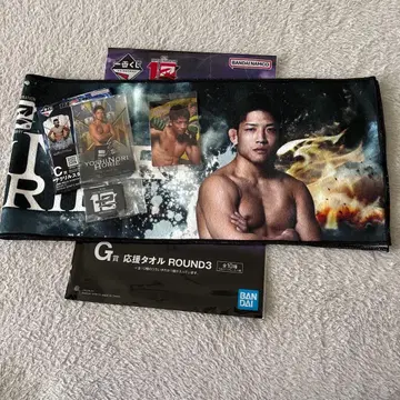 제일복권 RIZIN 호리에 케이코 아크릴 스탠드, 응원 타월 + 덤 포함