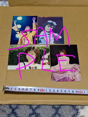 사카이 노리코 생사진 4장 세트