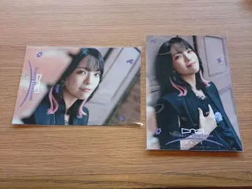 스타라이트 Starry Horizon 입장 혜택 브로마이드 이쿠타 테루