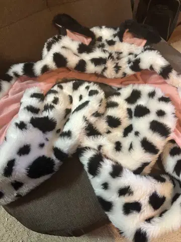 101 강아지 머플러 캡