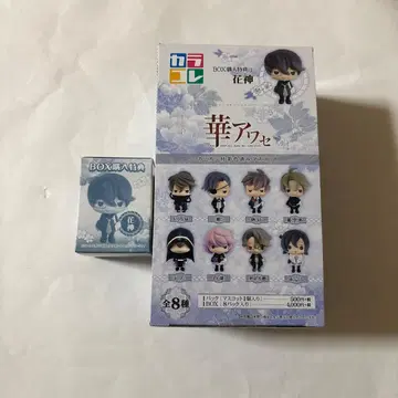 카라코레 하나아와세