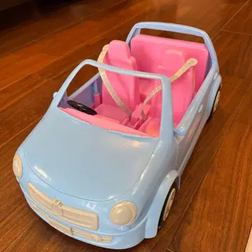 리카짱 패밀리카 스카이블루