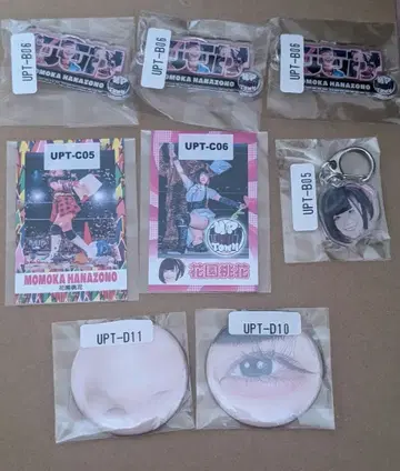 업타운 웹폰 화원 복숭아 세트