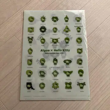 Algae x Hello Kitty 클리어 파일 2장 세트