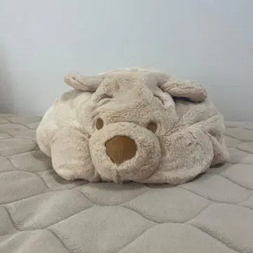 디즈니 푸우 팬캡