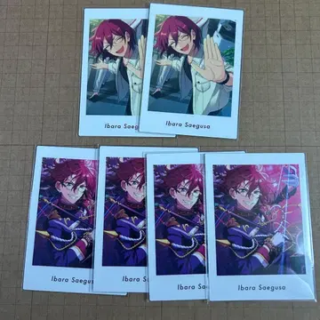 앙스타 파샤츠 Vol.6 사에구사 이바라 6점