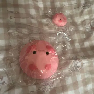 lulv living 돼지 스퀴즈