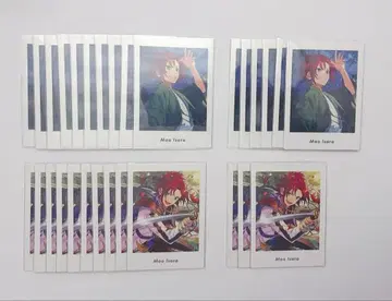 앙스타 이사라 마오 파샤츠 vol.5