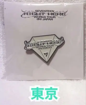 SEVENTEEN RIGHT HERE WORLD TOUR 핀 배지
