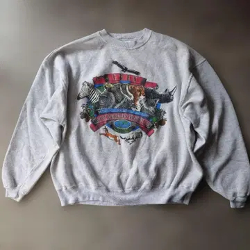 헤인즈 미국제 애니멀 무늬 올 패턴 양면 프린트 맨투맨