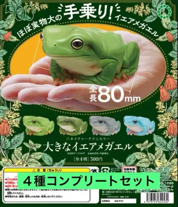 네이처 테크니컬러 큰 집 개구리 전 4종 세트