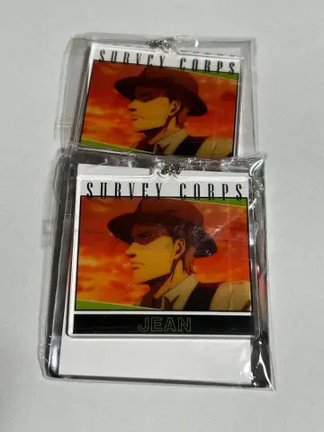 조사병단 아크릴 키링 장 2점