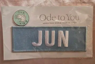 SEVENTEEN 세븐틴 준 Ode to You 네임택 핀 배지