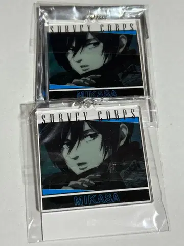 조사병단 아크릴 키링 미카사 2점