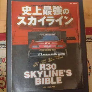 [레어] 사상 최강의 스카이라인 1 R30 북