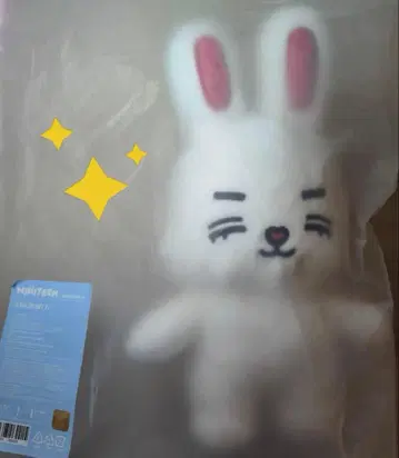 SEVENTEEN choitcherry 에스크 체리 봉제 인형