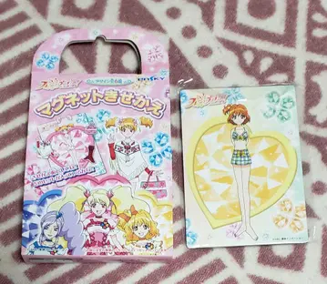 프레쉬 프리큐어 마그넷 시트 세트