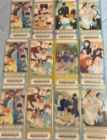 하이큐!! 비주얼 클리어 티켓