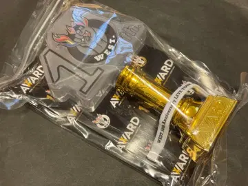 WEST AWARD 10th Anniversary 응원봉