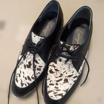 Callipigio 레이스업 슈즈 블랙 화이트