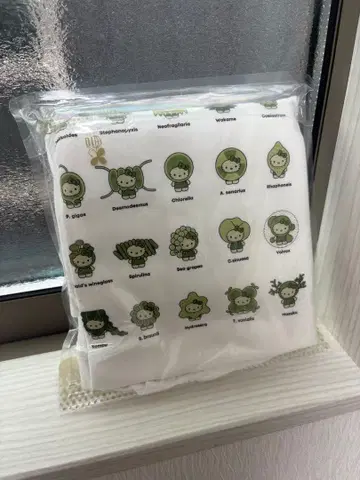 일본관 헬로키티 T셔츠 모 S사이즈 화이트