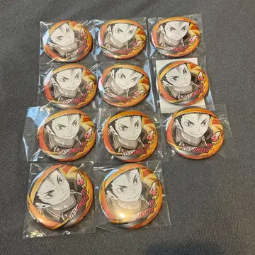 하이큐 니시노야 유우 팬파크 캔뱃지 11점