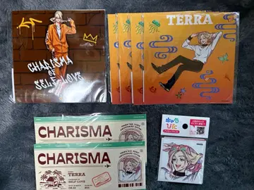 카리스마 테라 묶음 판매