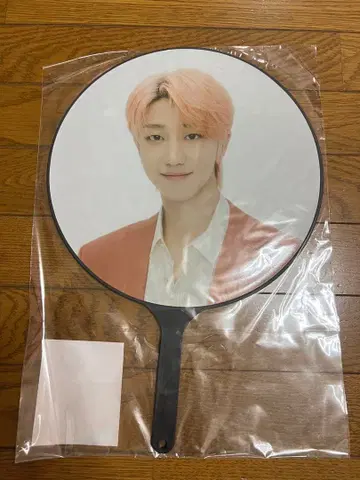 세븐틴 민규오 부채 BE THE SUN THE8