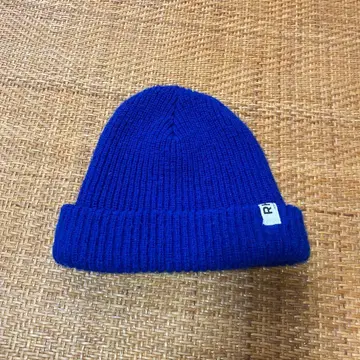 론 헤르만 비니