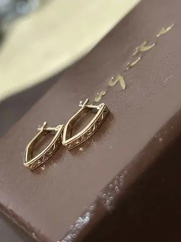 아가트 agete K10 귀걸이