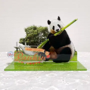 요시하마 23세 기념 아크릴 스탠드 어드벤처 월드