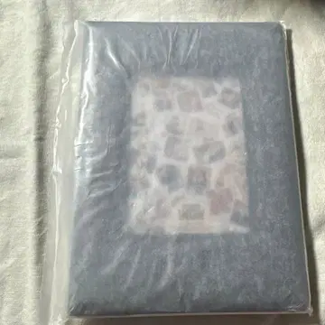 SEVENTEEN holiday 여권 커버 케이스