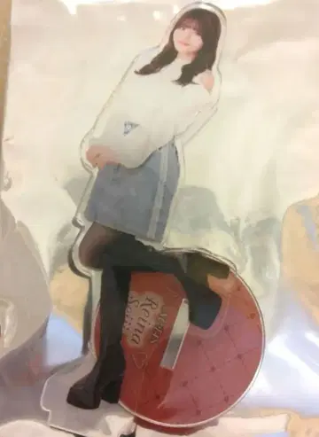 세이지 레이나 아크릴 스탠드 2025.2