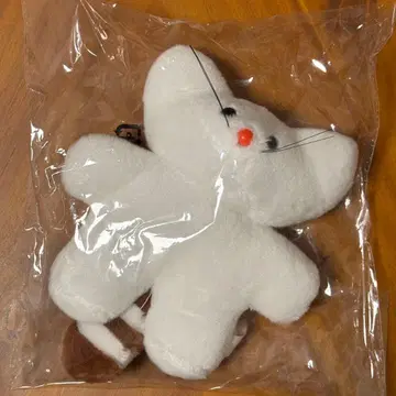 고양이와 곰 모찌 봉제 인형